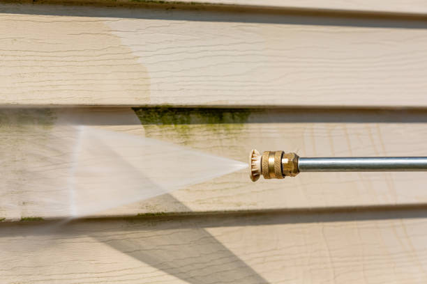 Best Affordable Power Washing  in Whitfield, FL
