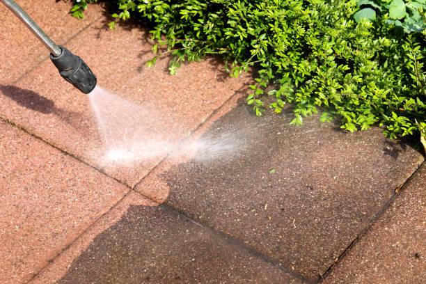 Best Pressure Washing Near Me  in Whitfield, FL